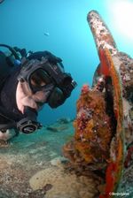liquid-image-wide-angle-scuba-series-hd319-marime-l-ochelari-subacvatici-cu-camera-foto-video-hd-28264-2