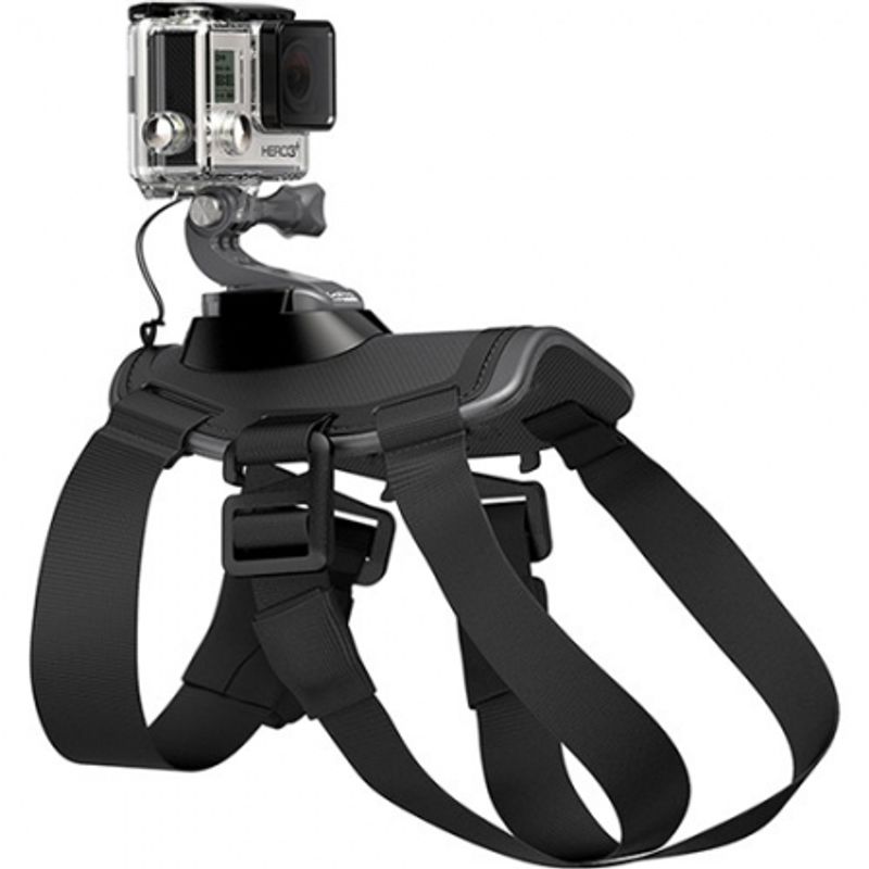gopro-fetch-prindere-pentru-caine-36972
