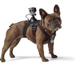 gopro-fetch-prindere-pentru-caine-36972-3