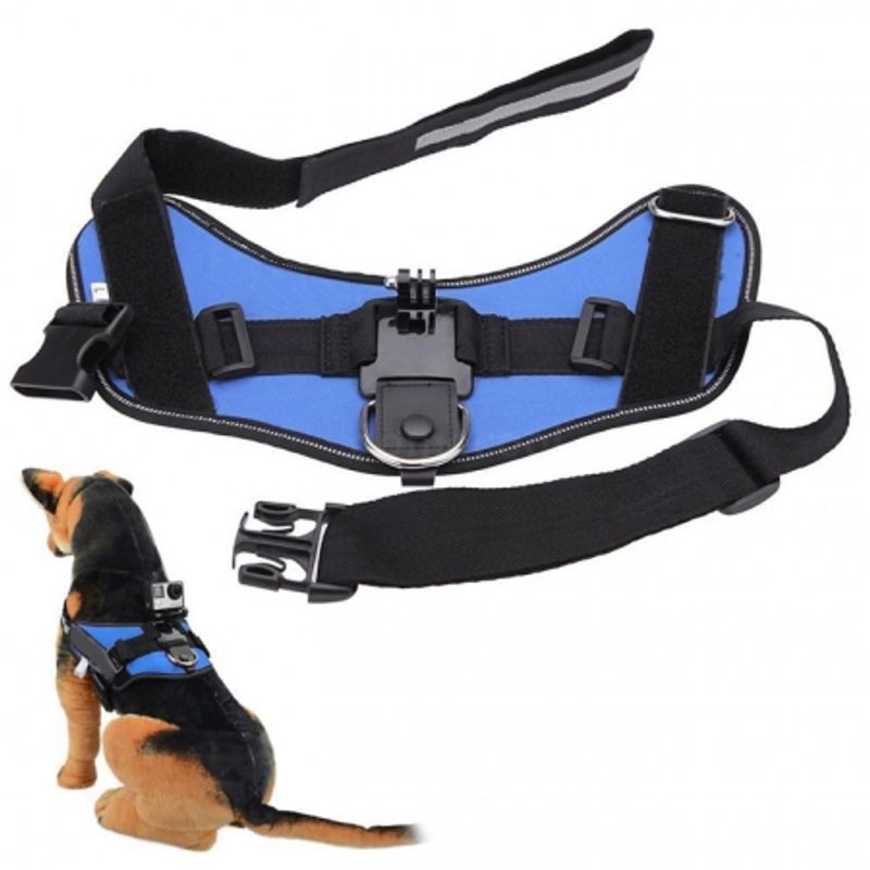 kathay-gopro-dog-harness-strap-albastru-46462-686