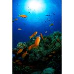 sony-fdr-x3000-camera-de-actiune-4k-54711-947-923