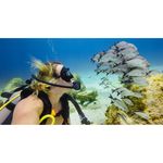 gopro-blue-water-dive-filter-filtru-pentru-carcasa-super-suit-59071-1-369