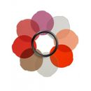 Manfrotto set filtre portret pentru Lumie