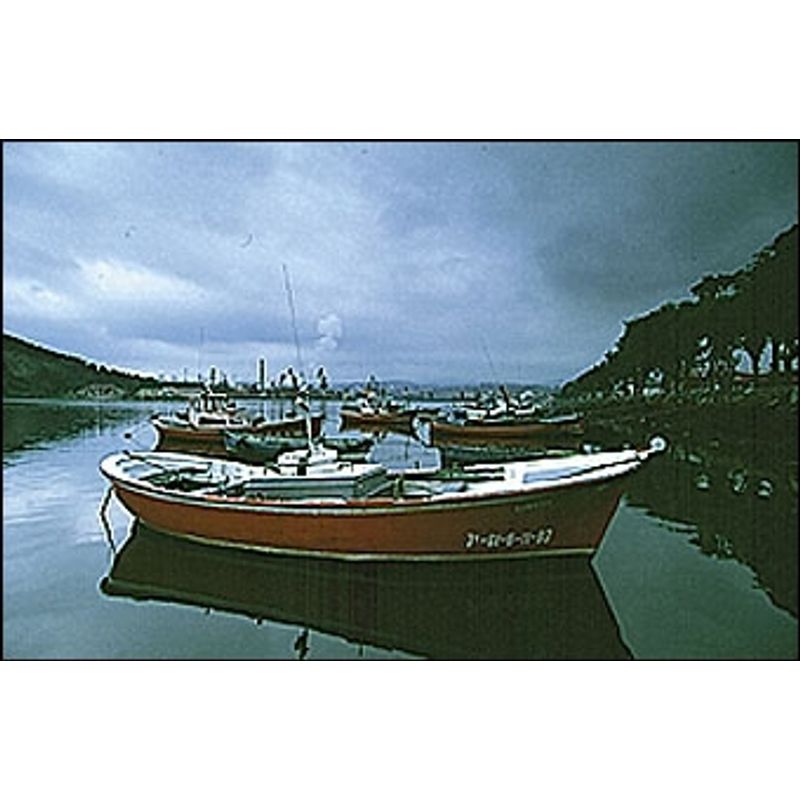 cokin-p121s-gradual-grey-g2-soft-nd8-803