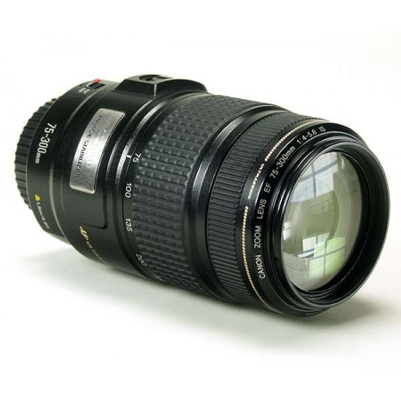 canon-ef-75-300mm-usm-is-2132-1