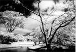 cokin-p007-infrared-3308
