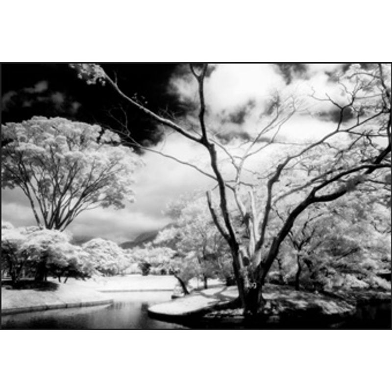 cokin-p007-infrared-3308