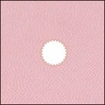 cokin-p079-center-spot-pink-3538-1