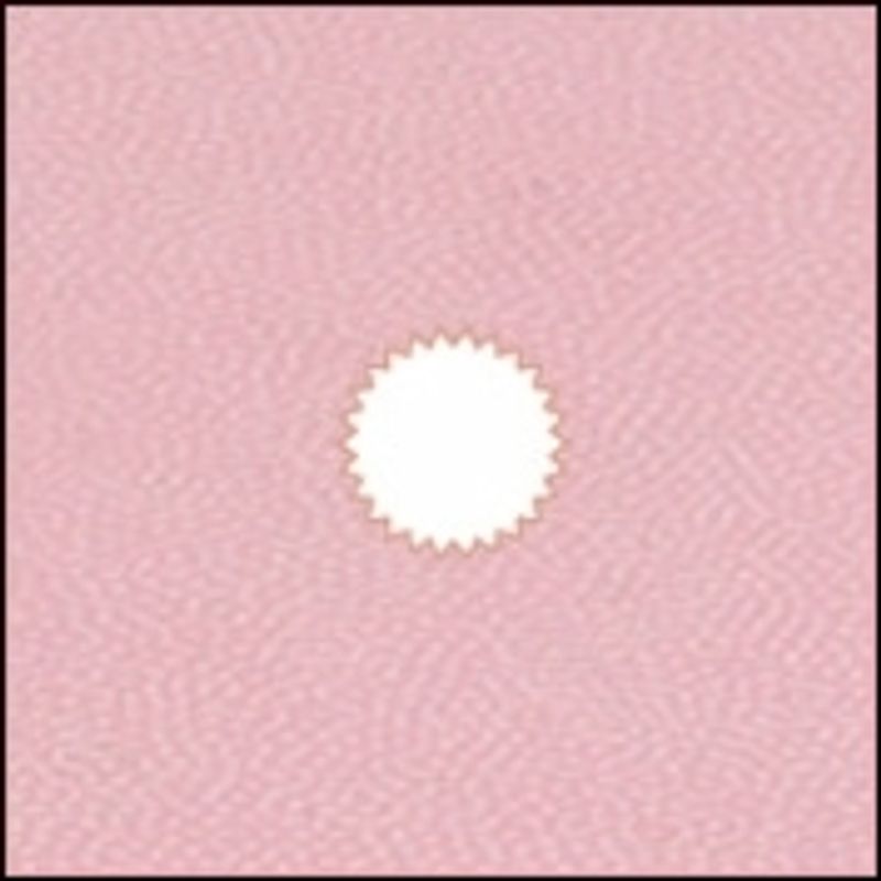 cokin-p079-center-spot-pink-3538-1