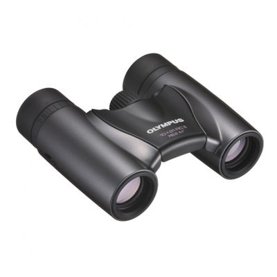 Olympus 10x21 RC II argintiu inchis - binoclu compact