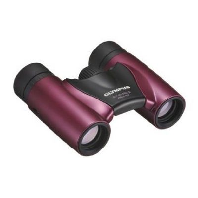Binoclu Olympus 8x21 RC II Metal