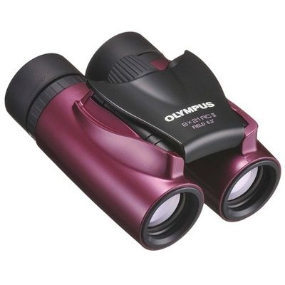 Binoclu Olympus 8x21 RC II Metal