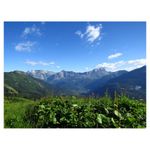 canon-sx50-hs-sample-2_23774