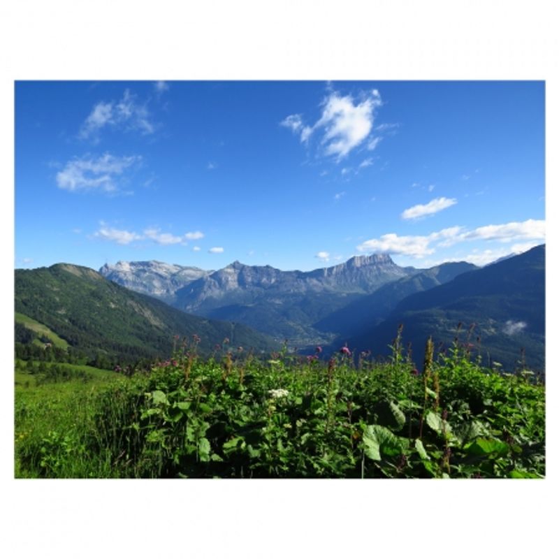 canon-sx50-hs-sample-2_23774