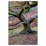 fujifilm-x-e1-argintiu-body-23971-3