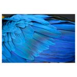 nikon-d5200-negru-af-s-dx-18-55mm-f-3-5-5-6-g-vr-24330-20