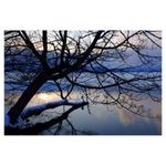 fuji-finepix-x100s-25162-6
