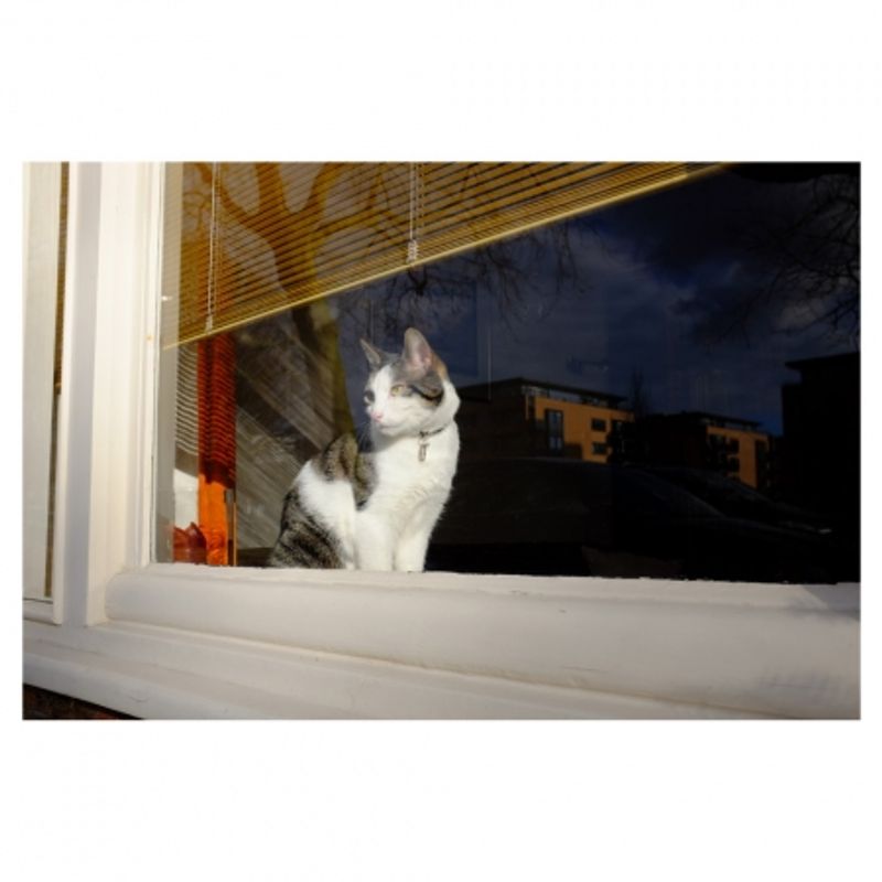 fuji-finepix-x100s-25162-7