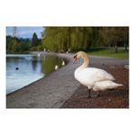 samsung-nx2000-alb-kit-20-50mm-f-3-5-5-6-27291-10
