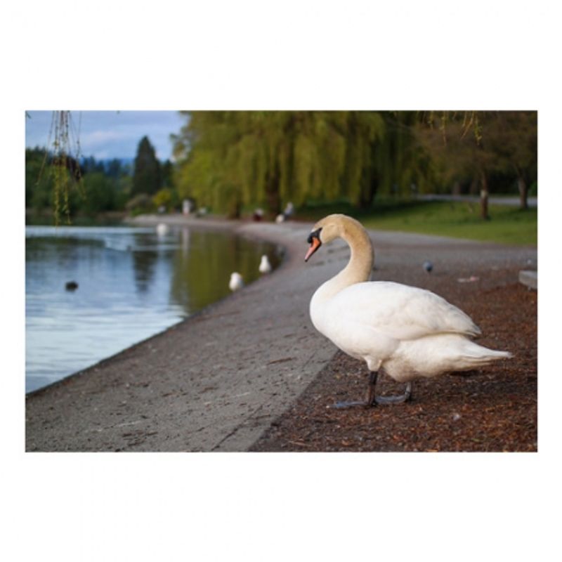 samsung-nx2000-alb-kit-20-50mm-f-3-5-5-6-27291-10
