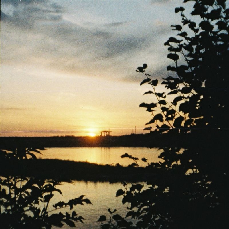 diana7_1