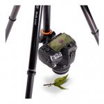 vanguard-nivelo-244bk-trepied-foto-23176-4