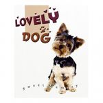 album-foto-lovely-dog-9-x-13-cm-pp35100-23600