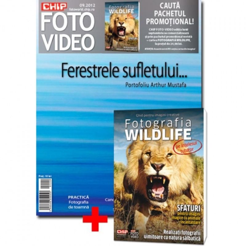chip-foto-video-septembrie-2012-carte-fotografia-wildlife-23940