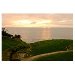 fuji-finepix-x-m1-xc-16-50mm-f-3-5-5-6-ois-28253-5