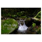 fuji-finepix-x-m1-xc-16-50mm-f-3-5-5-6-ois-28253-6