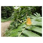 olympus-sh-50-negru-28268-4