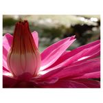 olympus-sh-50-negru-28268-5