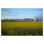 sony-a3000-kit-sel-18-55-f3-5-5-6-20-mpx--full-hd-29145-19