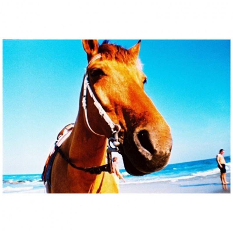 lomography-aparat-la-sardina--amp--flash-st-tropez-2-29563-5