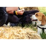 fujifilm-x-e2-xf-18-55-negru-30157-8-267