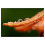 nikon-df-kit-50mm-f-1-8-negru-30512-12