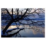 fujifilm-finepix-x100s-negru-33410-6