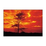 cokin-snap-orange-a002-26684