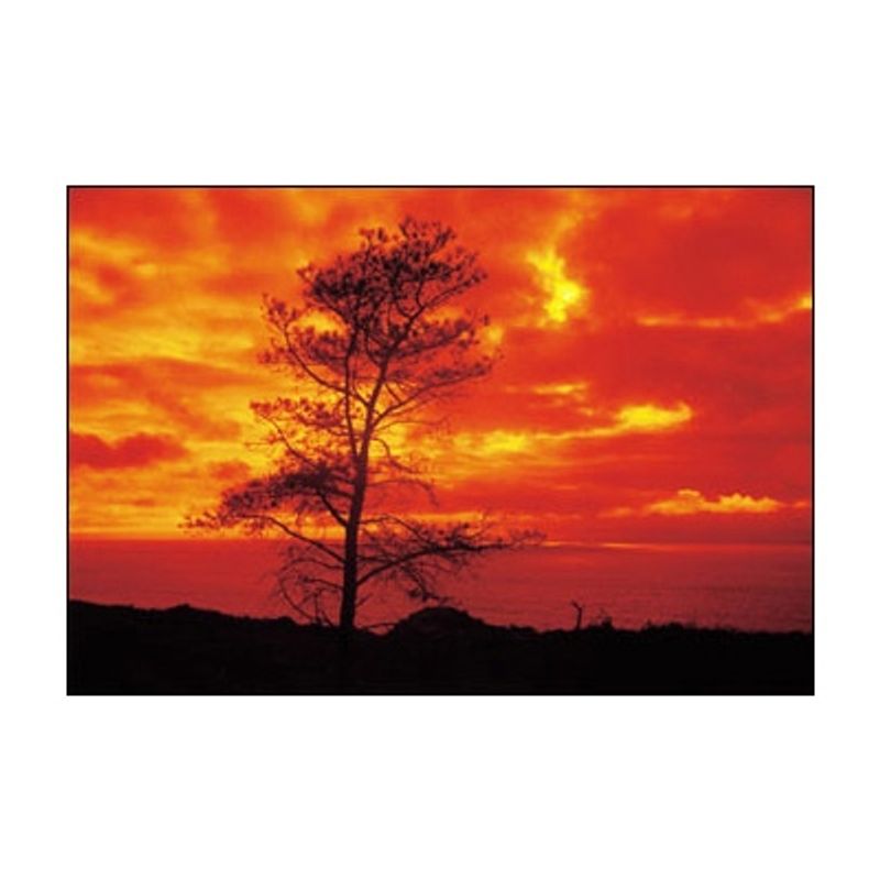 cokin-snap-orange-a002-26684