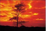cokin-snap-g210a-kit-landscape-1-26714-2