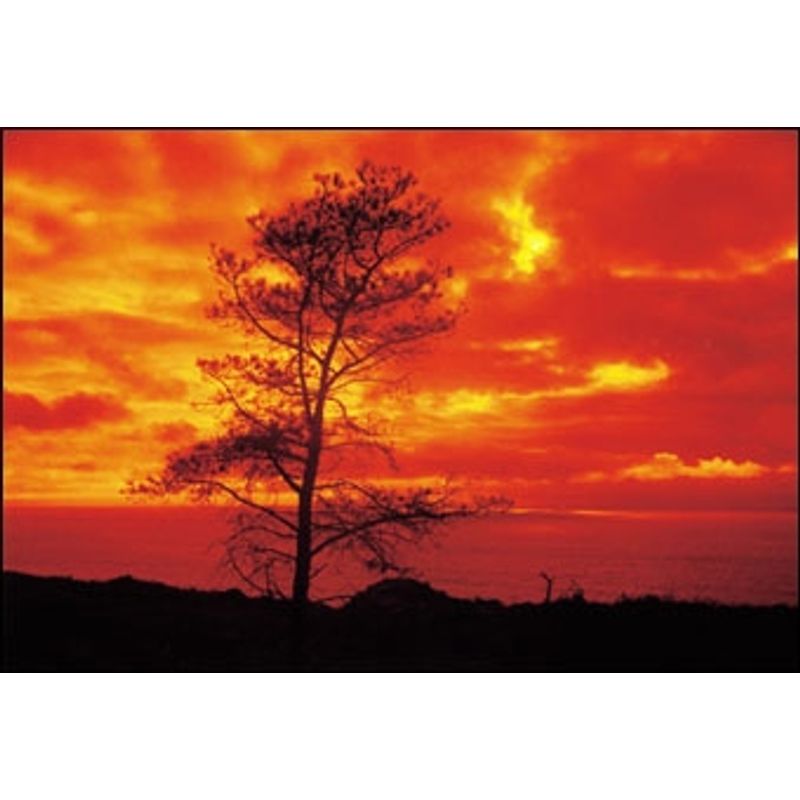 cokin-snap-g210a-kit-landscape-1-26714-2