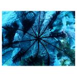 nikon-coolpix-aw120-adventurer-kit--portocaliu-34528-5