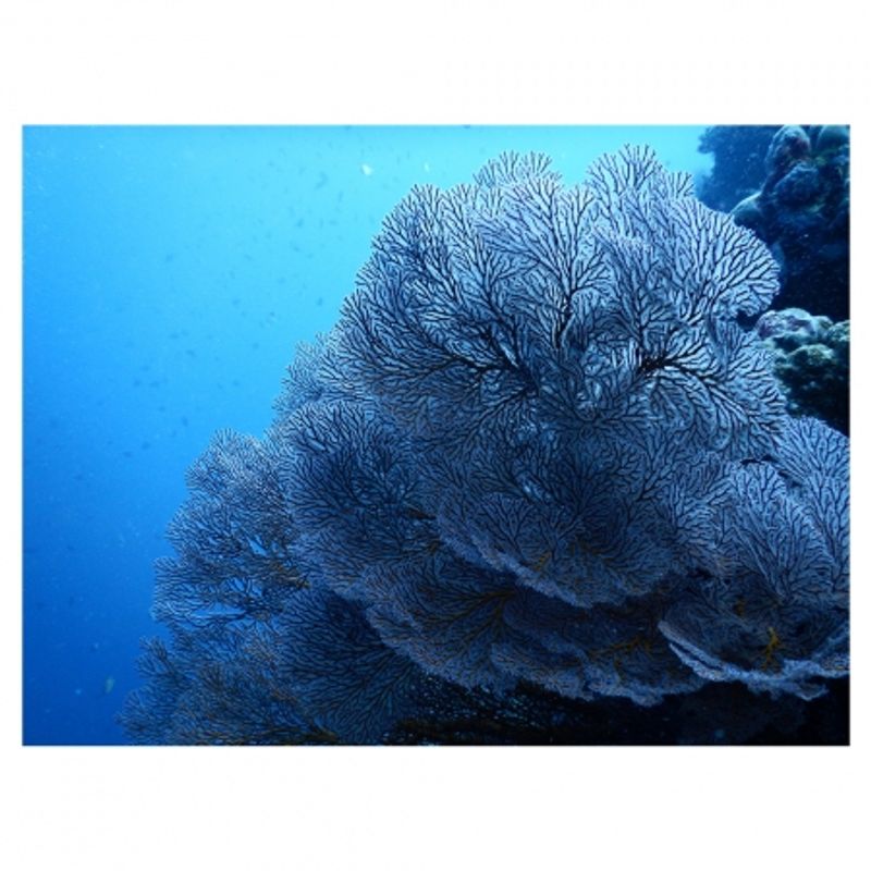 nikon-coolpix-aw120-adventurer-kit--portocaliu-34528-6