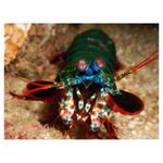 nikon-coolpix-aw120-adventurer-kit--portocaliu-34528-10