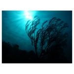 nikon-coolpix-aw120-adventurer-kit--portocaliu-34528-16