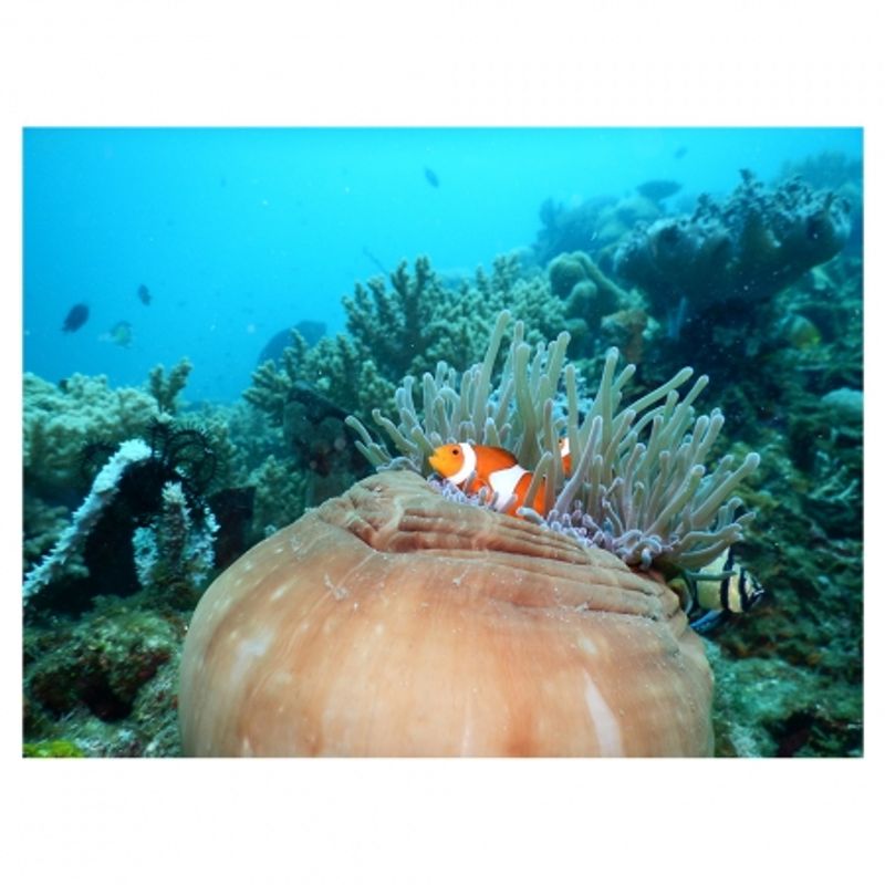 nikon-coolpix-aw120-adventurer-kit--portocaliu-34528-17