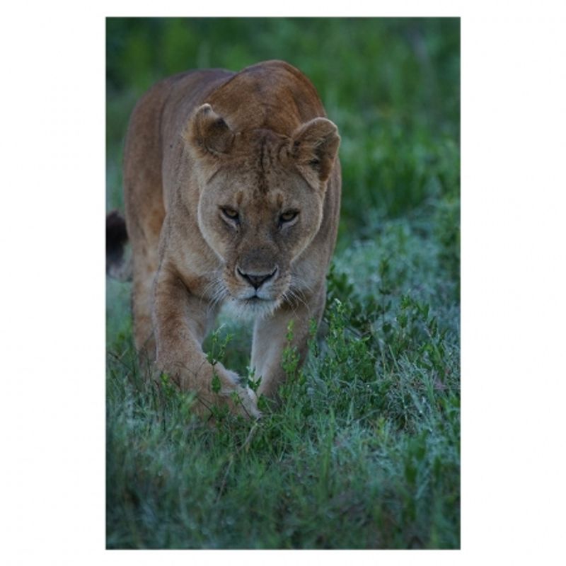 sony-aparat-foto-slt-a77ii-ilca-77ii-sal16-50mm-34634-17