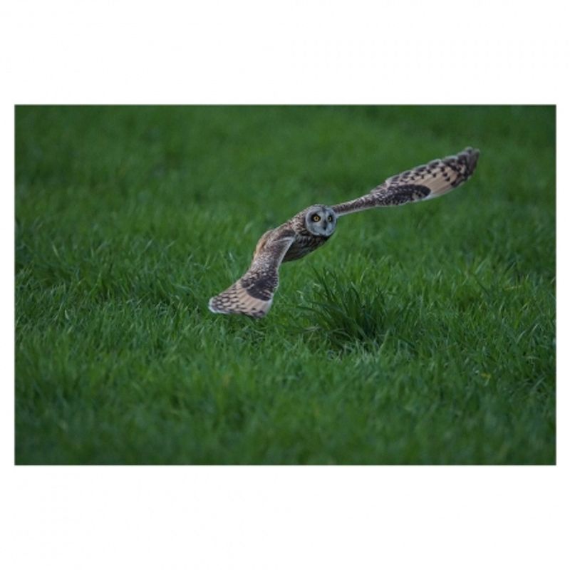 sony-aparat-foto-slt-a77ii-ilca-77ii-sal16-50mm-34634-20