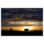 sony-aparat-foto-slt-a77ii-ilca-77ii-sal16-50mm-34634-22