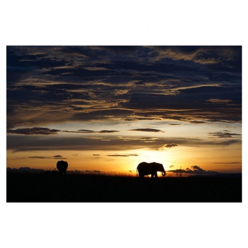 sony-aparat-foto-slt-a77ii-ilca-77ii-sal16-50mm-34634-22